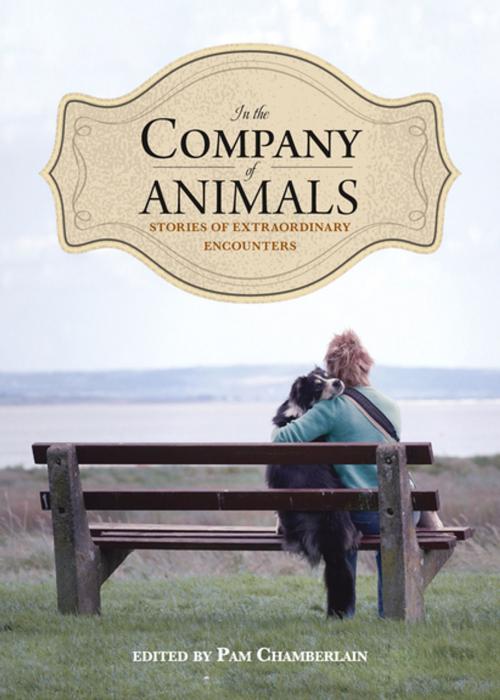 Cover of the book In the Company of Animals by , Nimbus