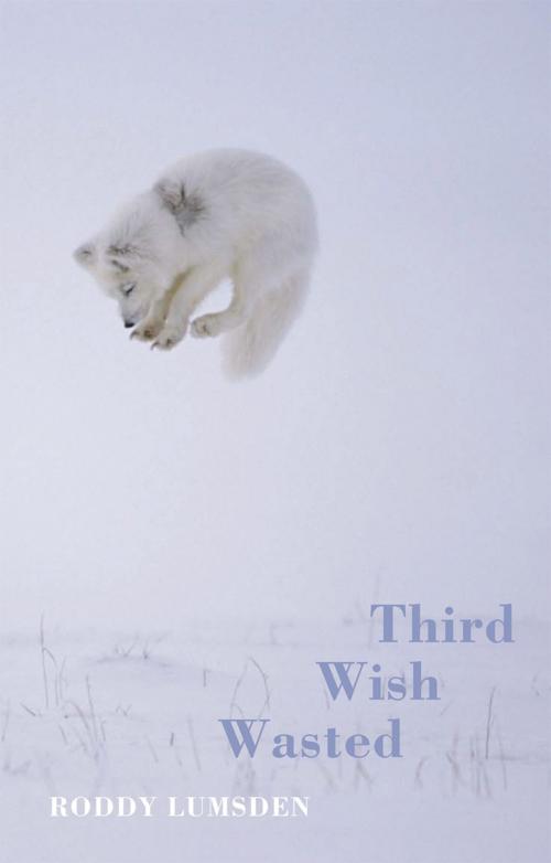 Cover of the book Third Wish Wasted by Roddy Lumsden, Bloodaxe Books