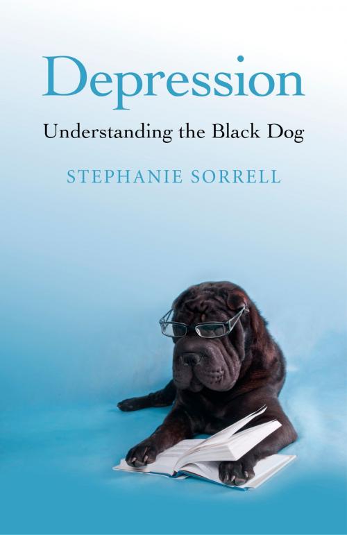 Cover of the book Depression by Stephanie Sorrell, John Hunt Publishing