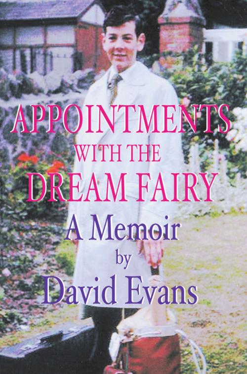 Cover of the book Appointments With the Dream Fairy by David  Evans, Tusitala Press
