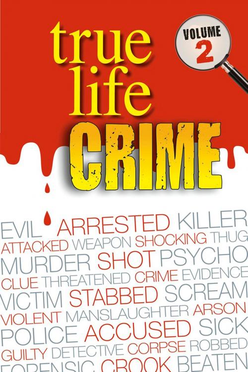 Cover of the book True Life Crime: Volume 2 by Real People Magazine, Hearst Magazines UK