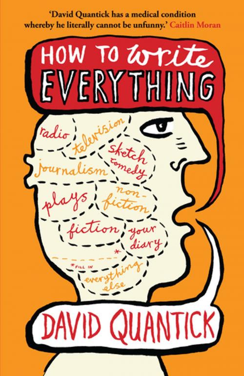 Cover of the book How to Write Everything by David Quantick, Oberon Books