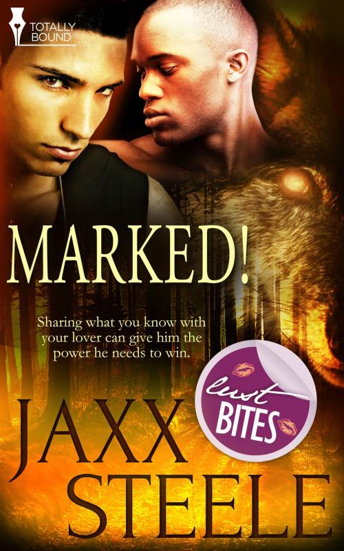 Cover of the book Marked! by Jaxx Steele, Totally Entwined Group Ltd