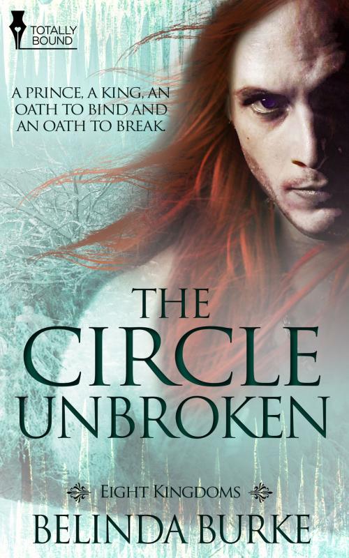 Cover of the book The Circle Unbroken by Belinda Burke, Totally Entwined Group Ltd