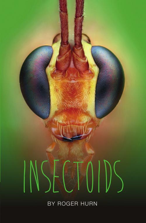 Cover of the book Insectoids by Roger Hurn, Badger Publishing
