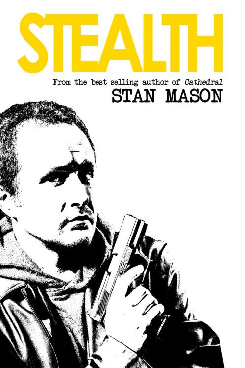 Cover of the book Stealth by Stan Mason, Andrews UK