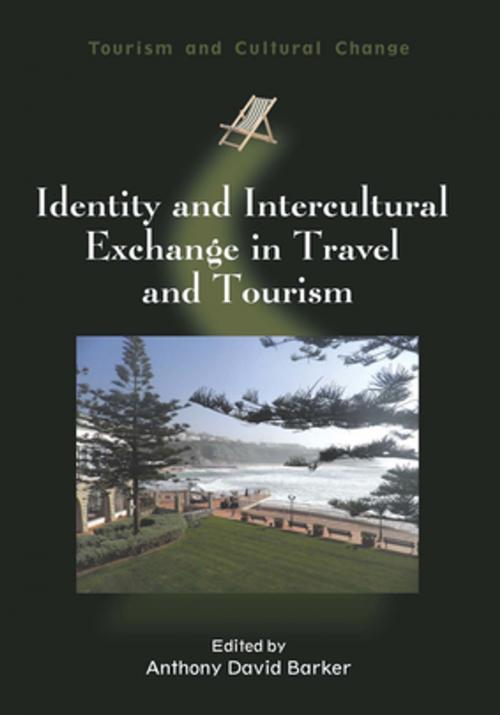 Cover of the book Identity and Intercultural Exchange in Travel and Tourism by , Channel View Publications