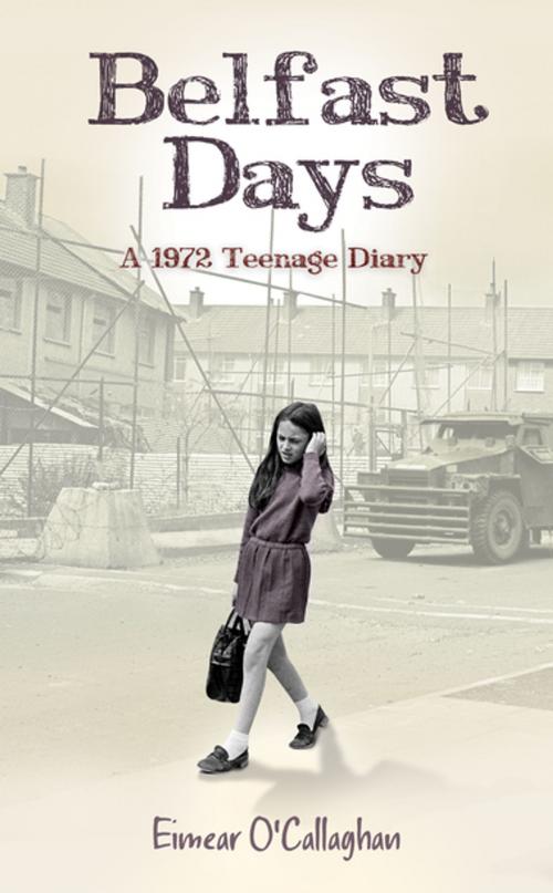 Cover of the book Belfast Days by Eimear O’Callaghan, Irish Academic Press