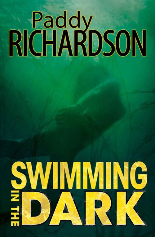 Cover of the book Swimming in the Dark by Paddy Richardson, Upstart Press