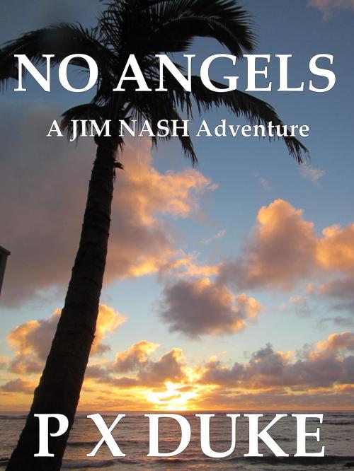 Cover of the book No Angels by P X Duke, P X Duke