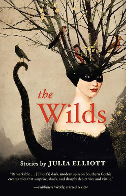 Cover of the book The Wilds by Julia Elliott, Tin House Books