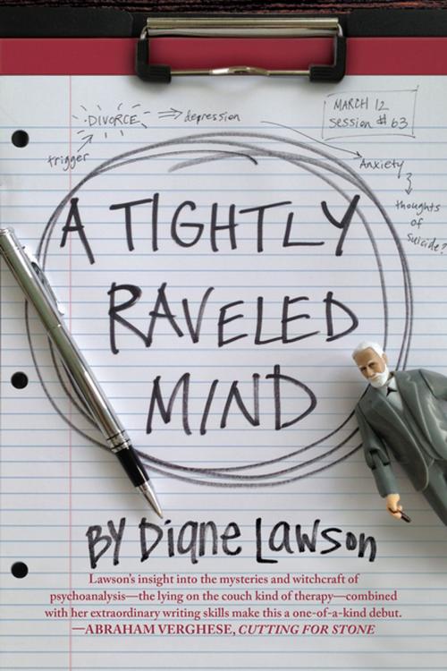 Cover of the book A Tightly Raveled Mind by Diane Lawson, Cinco Puntos Press