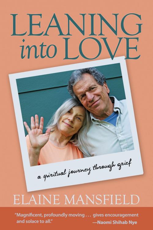 Cover of the book Leaning into Love by Elaine Mansfield, Larson Publications