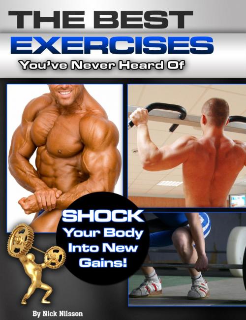 Cover of the book The Best Exercises You've Never Heard Of by Nick  Nilsson, Price World Publishing