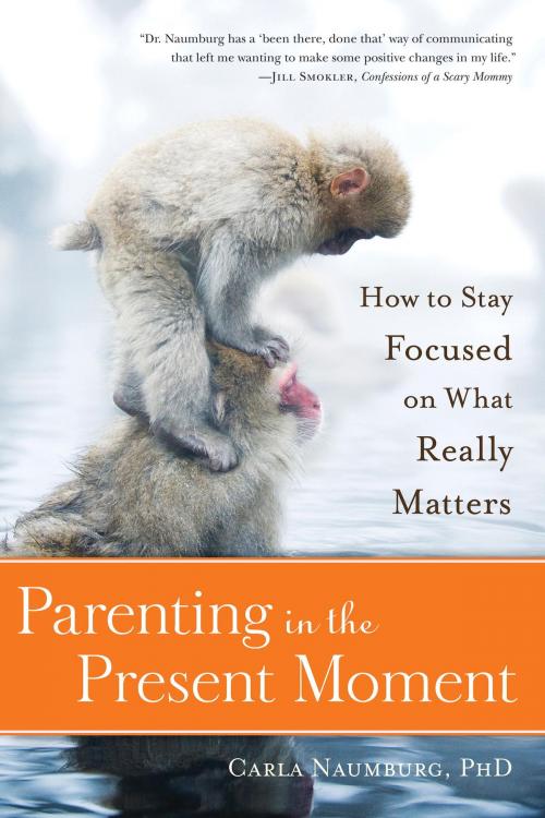 Cover of the book Parenting in the Present Moment by Carla Naumburg, Parallax Press
