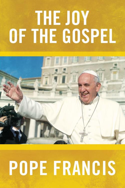 Cover of the book The Joy of the Gospel by Pope Francis, Wellspring