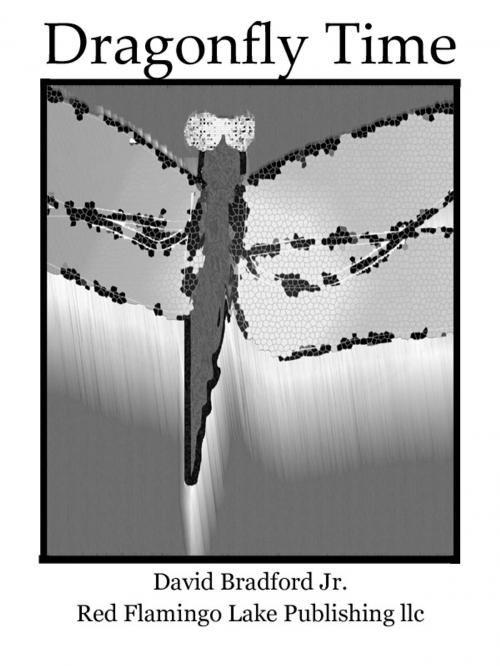 Cover of the book Dragonfly Time by David Bradford Jr., Red Flamingo Lake Publishing llc