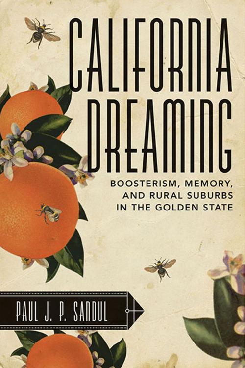 Cover of the book California Dreaming by Paul J. P. Sandul, West Virginia University Press