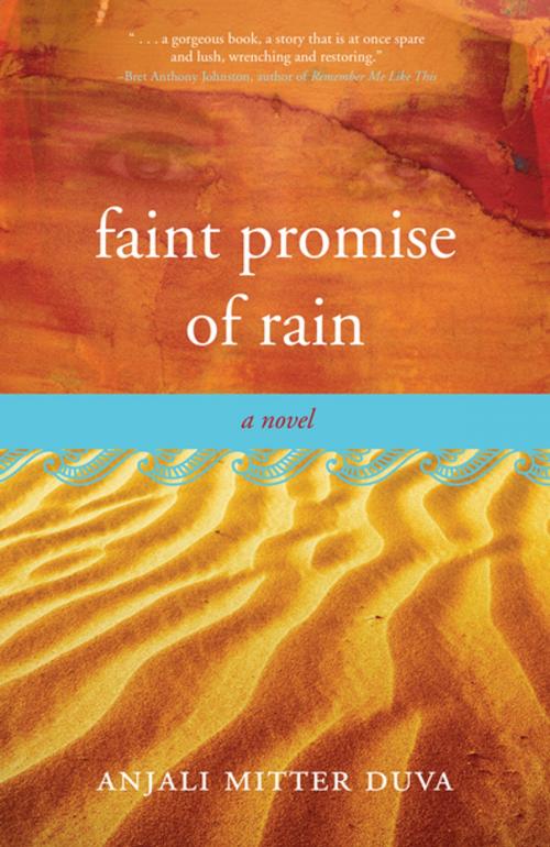Cover of the book Faint Promise of Rain by Anjali Mitter Duva, She Writes Press