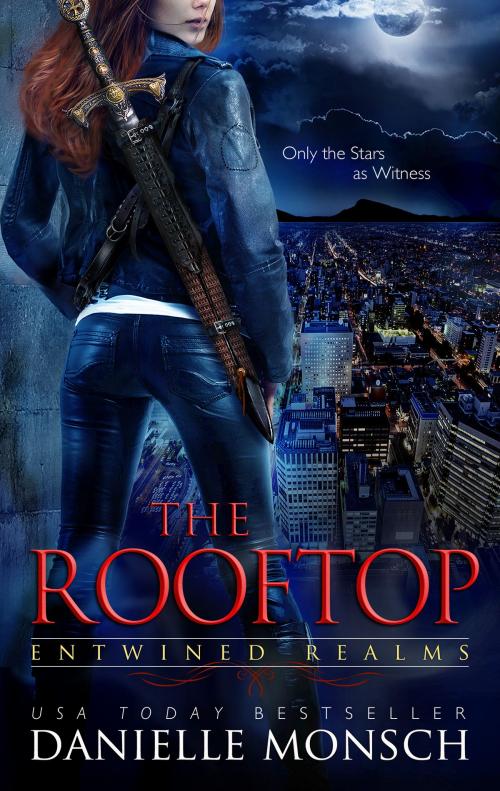 Cover of the book The Rooftop by Danielle Monsch, Romantic Geek Publishing