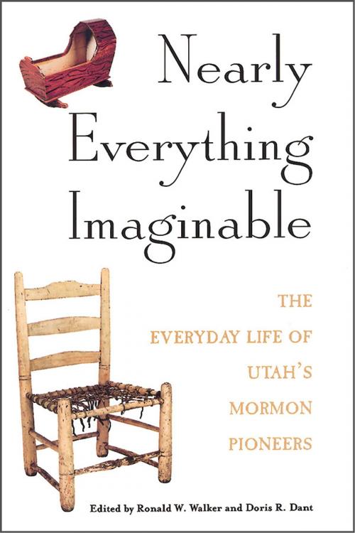 Cover of the book Nearly Everything Imaginable by , Deseret Book Company