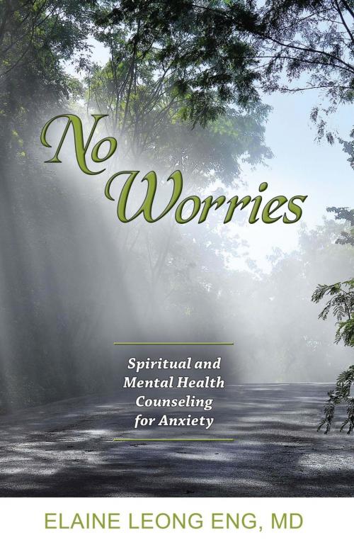 Cover of the book No Worries: Spiritual and Mental Health Counseling for Anxiety by Elaine Leong Eng, Healthy Life Press
