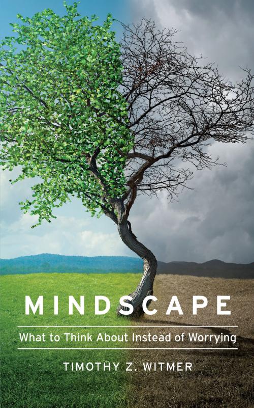 Cover of the book Mindscape by Timothy Z. Witmer, New Growth Press