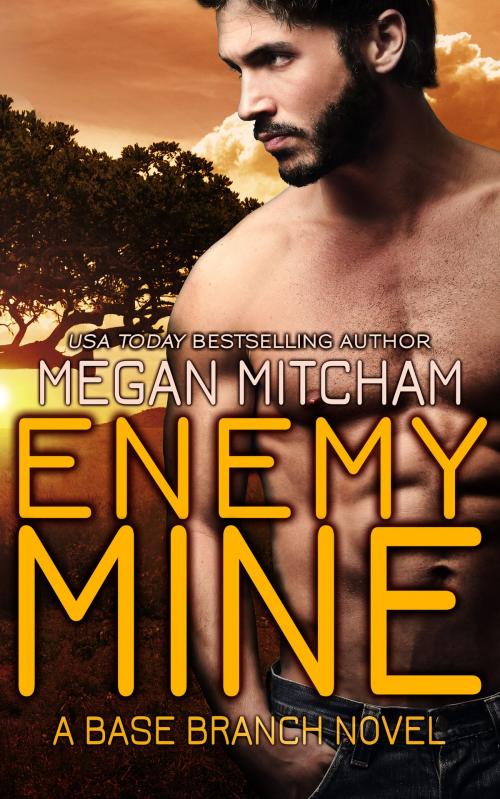 Cover of the book Enemy Mine by Megan Mitcham, Megan Mitcham