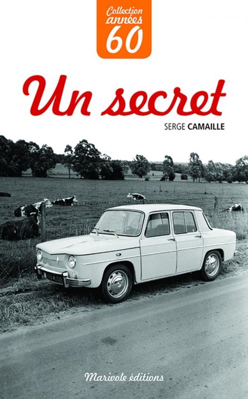 Cover of the book Un secret by Serge Camaille, Marivole Éditions
