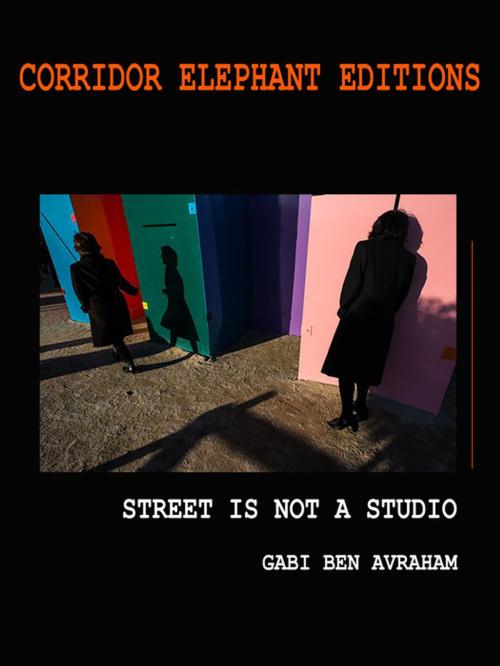 Cover of the book Street is not a studio by Gabi Ben Avraham, Corridor Elephant