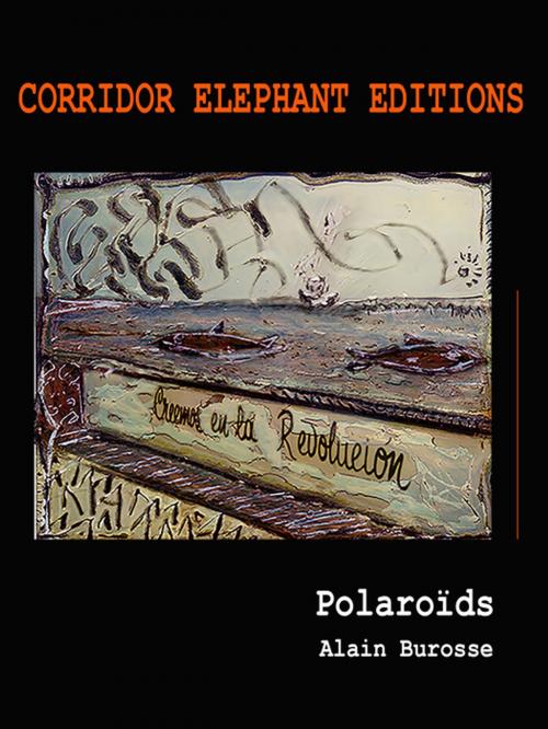 Cover of the book Polaroïds by Alain Burosse, Corridor Elephant