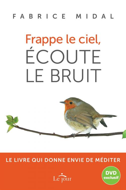 Cover of the book Frappe le ciel, écoute le bruit by Fabrice Midal, Le Jour
