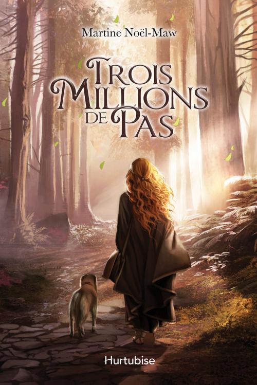 Cover of the book Trois millions de pas by Martine Noel-Maw, Éditions Hurtubise
