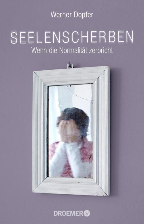 Cover of the book Seelenscherben by Werner Dopfer, Droemer eBook