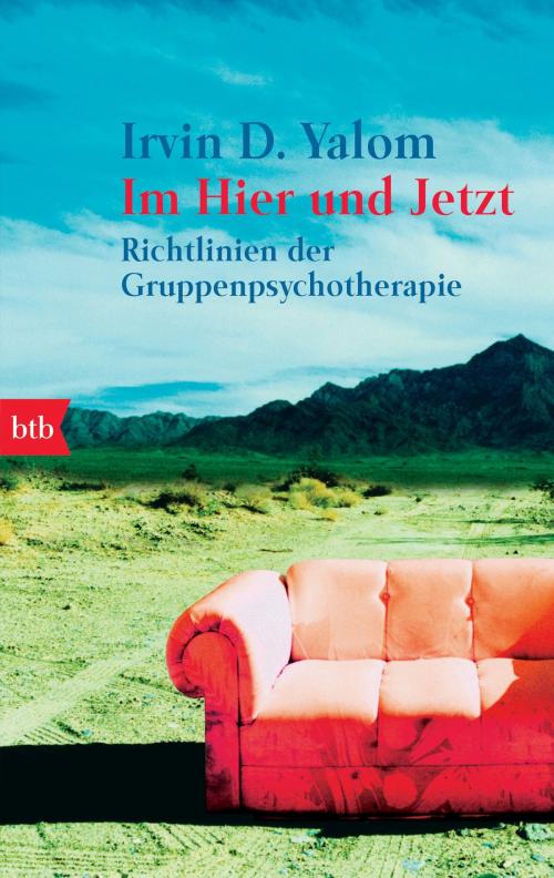 Cover of the book Im Hier und Jetzt by Irvin D. Yalom, btb Verlag