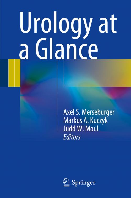 Cover of the book Urology at a Glance by , Springer Berlin Heidelberg