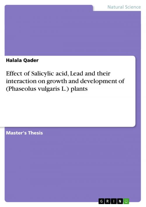 Cover of the book Effect of Salicylic acid, Lead and their interaction on growth and development of (Phaseolus vulgaris L.) plants by Halala Qader, GRIN Verlag