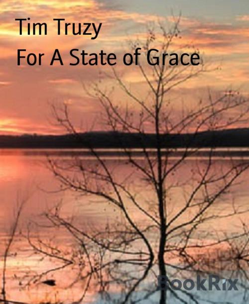 Cover of the book For A State of Grace by Tim Truzy, BookRix