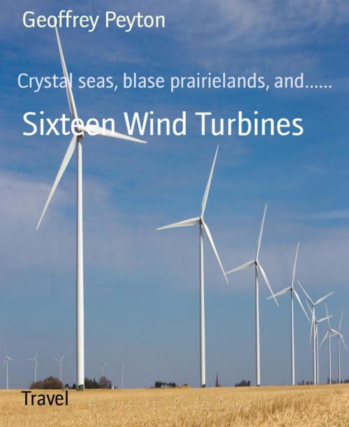 Cover of the book Sixteen Wind Turbines by Geoffrey Peyton, BookRix