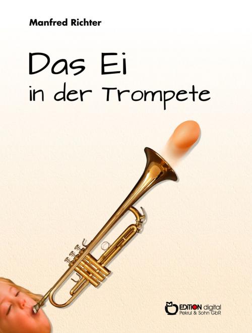 Cover of the book Das Ei in der Trompete by Manfred Richter, EDITION digital