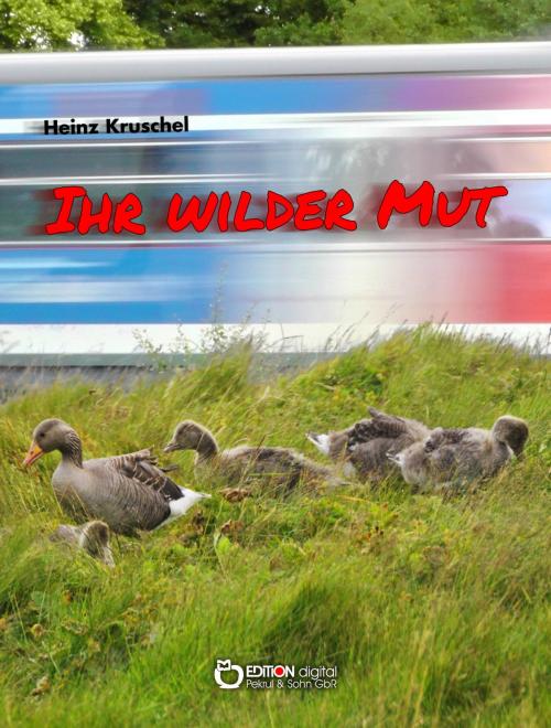 Cover of the book Ihr wilder Mut by Heinz Kruschel, EDITION digital