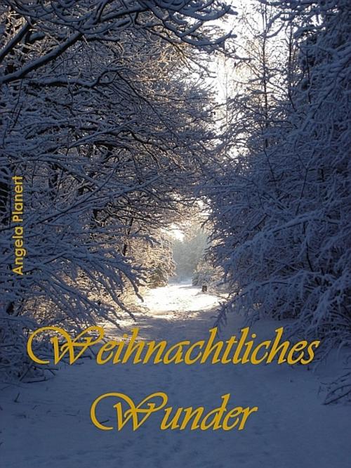 Cover of the book Weihnachtliches Wunder by Angela Planert, XinXii-GD Publishing