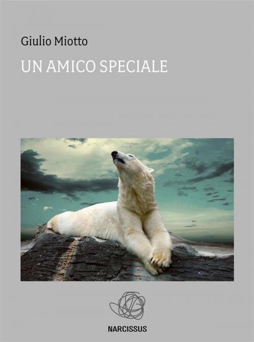 Cover of the book Il mio amico Aran by Miotto Giulio, Miotto Giulio