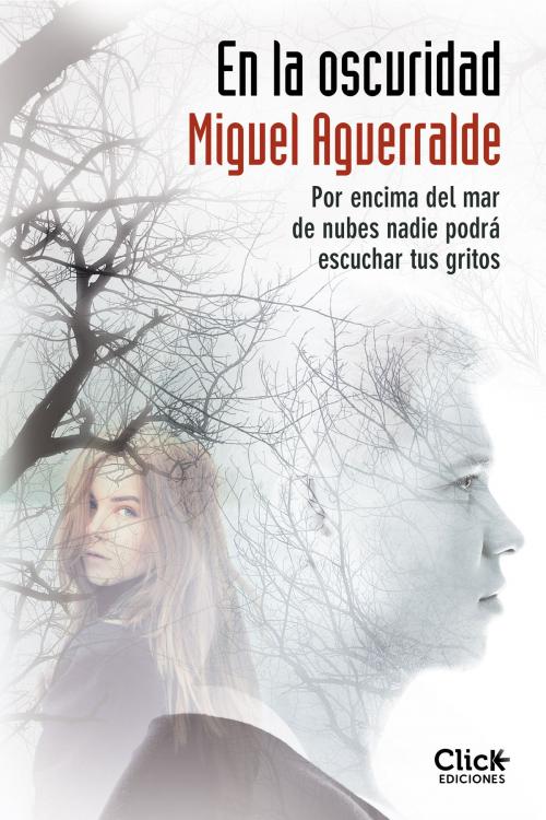 Cover of the book En la oscuridad by Miguel Aguerralde, Grupo Planeta