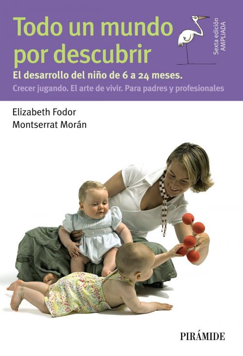 Cover of the book Todo un mundo por descubrir by Elizabeth Fodor, Montserrat Morán, Ediciones Pirámide