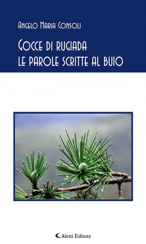 Cover of the book Gocce di rugiada le parole scritte al buio by Angelo Maria Consoli, Aletti Editore