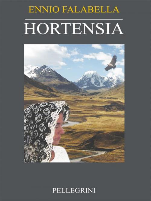 Cover of the book Hortensia by Ennio Falabella, Luigi Pellegrini Editore