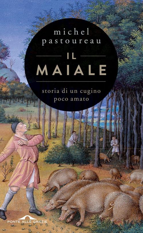 Cover of the book Il maiale by Michel Pastoureau, Ponte alle Grazie