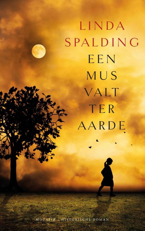 Cover of the book Een mus valt ter aarde by Linda Spalding, VBK Media