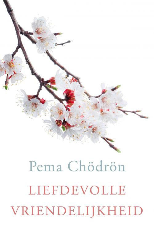 Cover of the book Liefdevolle vriendelijkheid by Pema Chödrön, VBK Media
